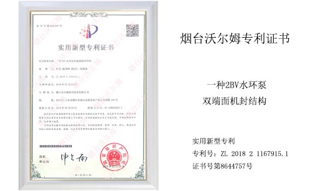 沃爾姆專利證書:一種2BV水環(huán)泵雙端面機(jī)封結(jié)構(gòu) 沃爾姆專利證書:一種2BV水環(huán)泵雙端面機(jī)封結(jié)構(gòu)
